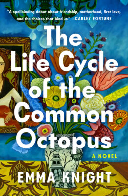 The Life Cycle Of The Common Octopus