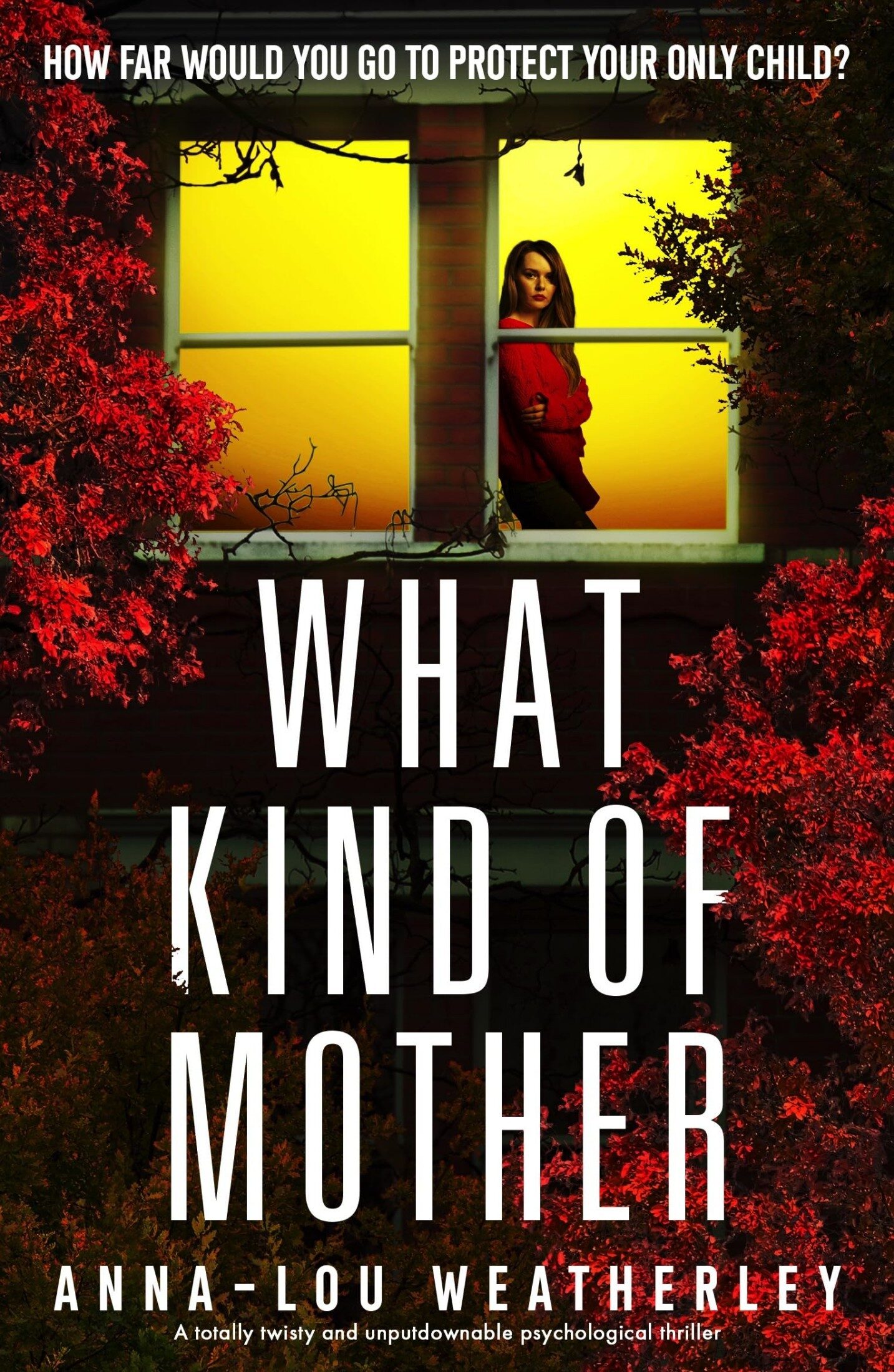 What Kind Of Mother (Detective Dan Riley #8)