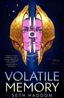 Volatile Memory (The Volatile Memory Duology #1)