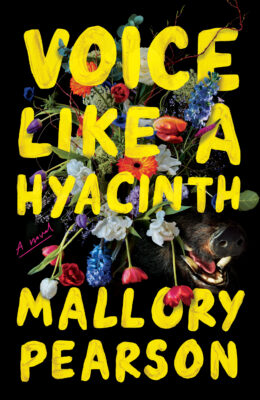 Voice Like A Hyacinth