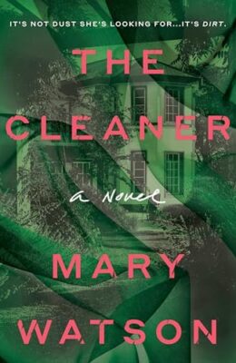 The Cleaner: A Novel