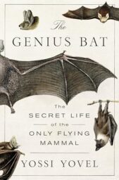 The Genius Bat: The Secret Life of the Only Flying Mammal