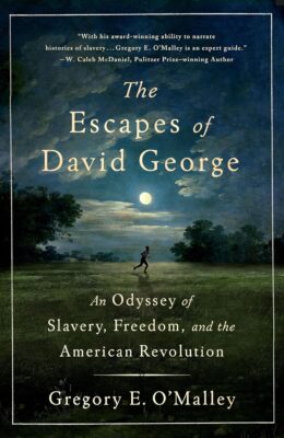 The Escapes Of David George