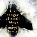 The Danger of Small Things