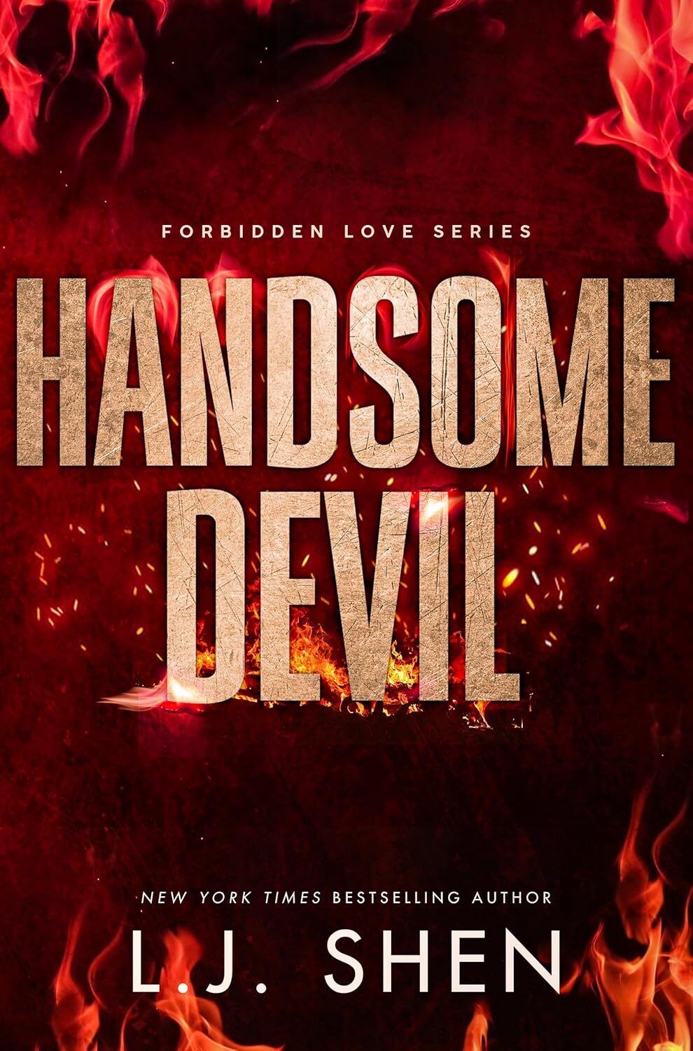 Handsome Devil (Forbidden Love #3)