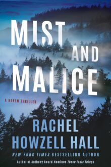 Mist And Malice (Haven Thriller #2)