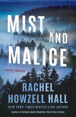 Mist And Malice (Haven Thriller #2)