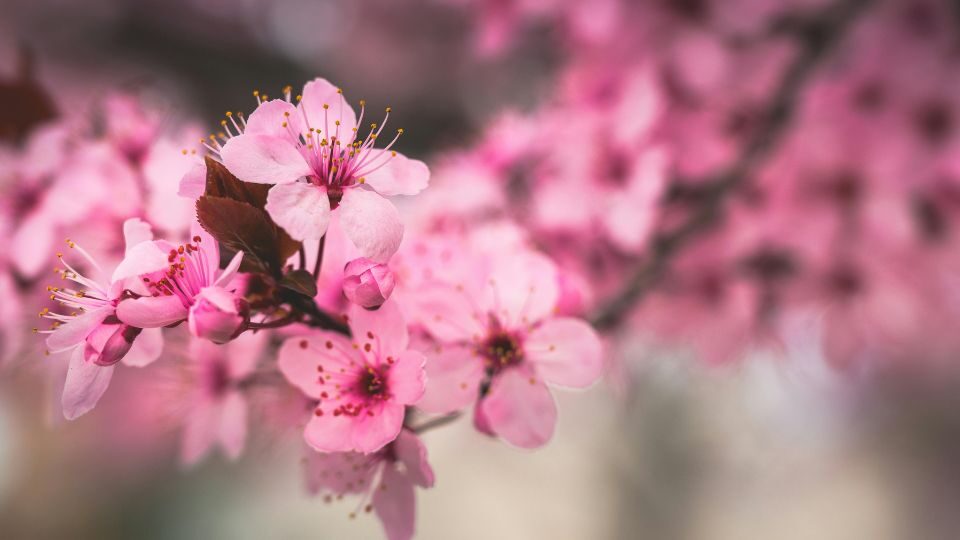 April 2026 Book Releases