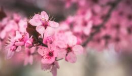 April 2026 Book Releases