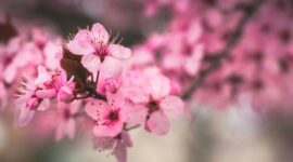April 2026 Book Releases