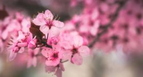 April 2026 Book Releases