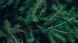 December 2025 Book Releases