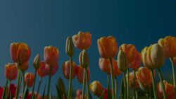 March 2026 Book Releases