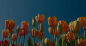 March 2026 Book Releases