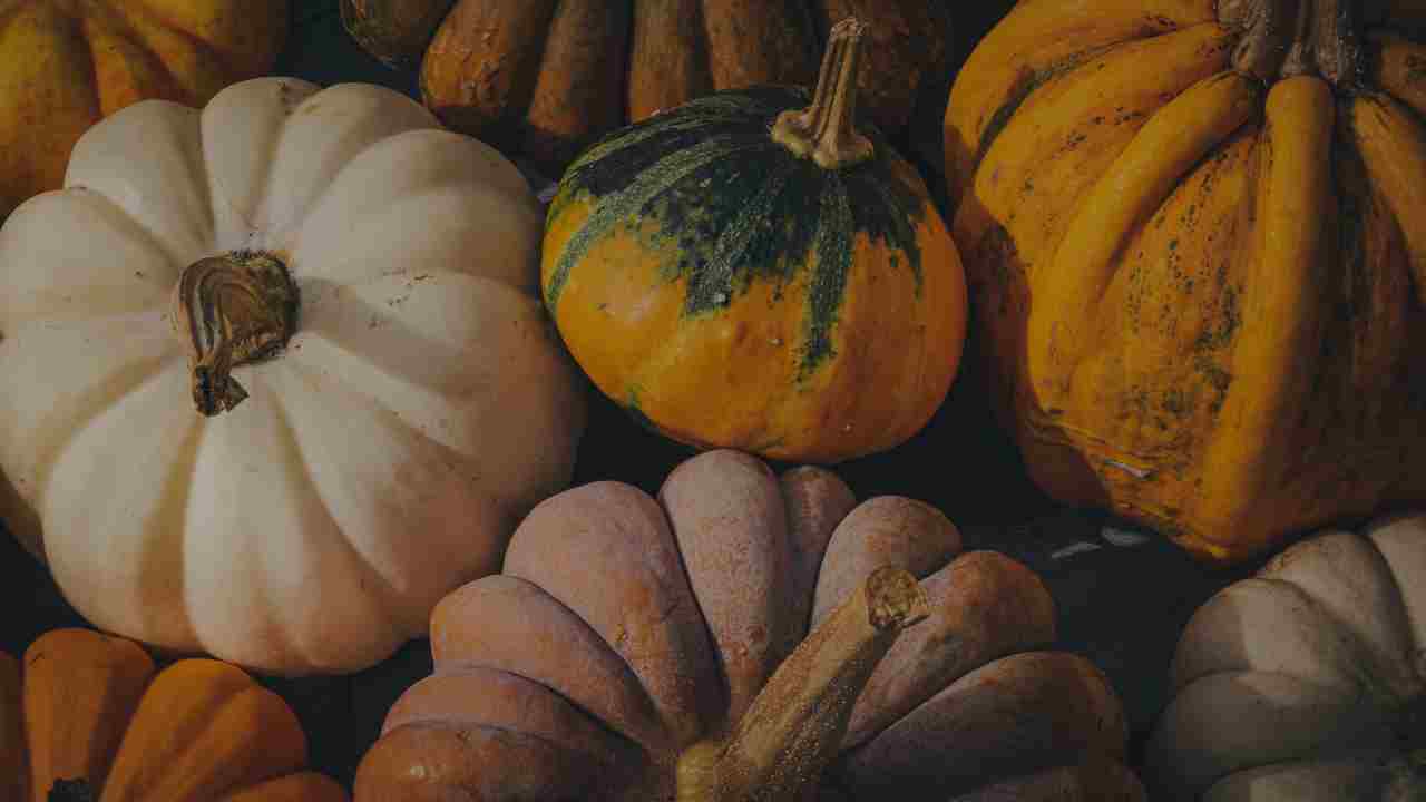Popular October 2025 book releases