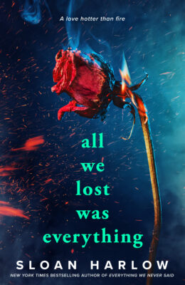 All We Lost Was Everything