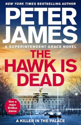 The Hawk is Dead (Roy Grace #22)