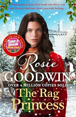 The Rag Princess (Rags to Riches #1)