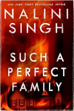 Such a Perfect Family