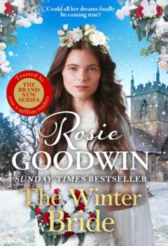 The Winter Bride (Rags to Riches #3)