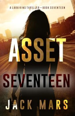 Asset Seventeen (Lara King #17)