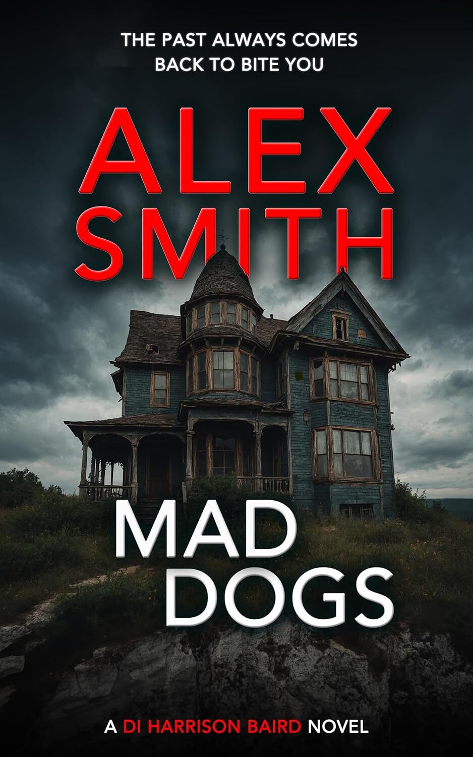Mad Dogs (DI Harrison Baird Crime Thrillers #3)