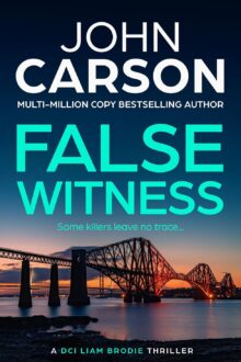 False Witness (DCI Liam Brodie #2)