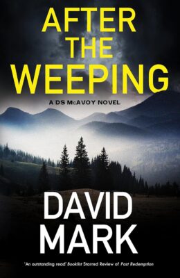 After the Weeping (DS McAvoy #14)