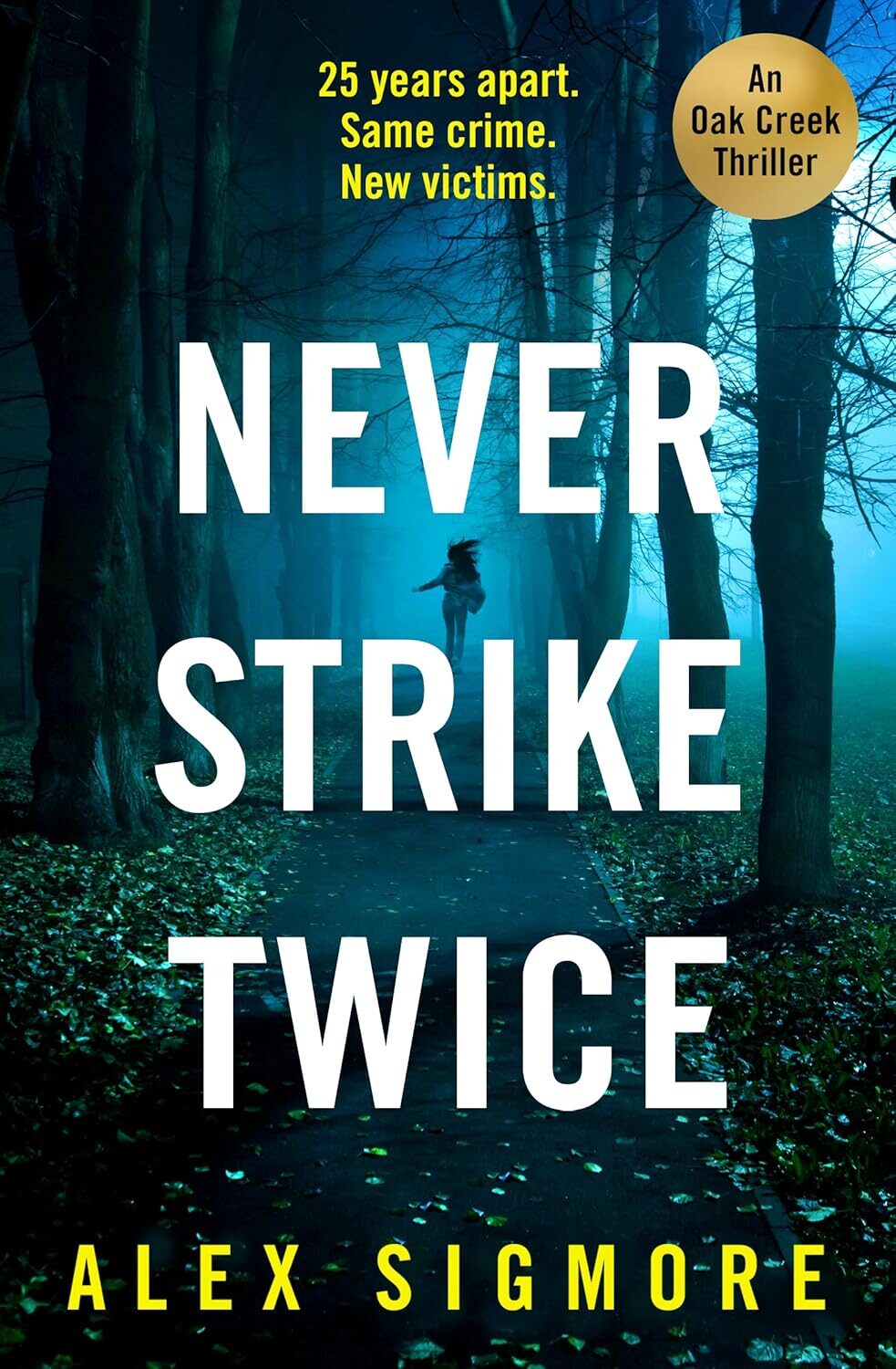 Never Strike Twice (Oak Creek Thriller #2)