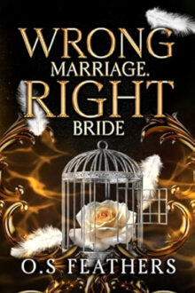 Wrong Marriage. Right Bride (Wrong Vows #1)