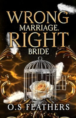 Wrong Marriage. Right Bride (Wrong Vows #1)
