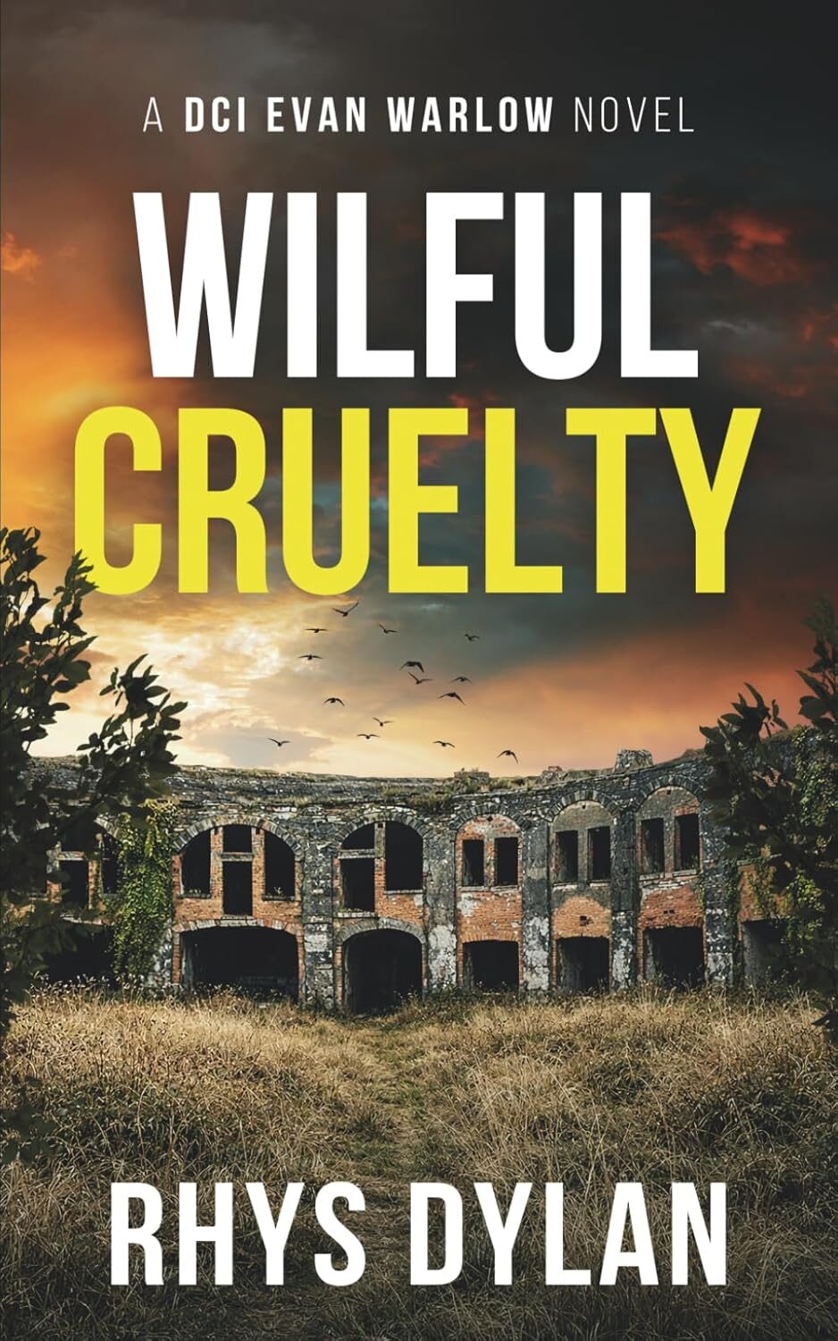 Wilful Cruelty (DCI Evan Warlow #20)