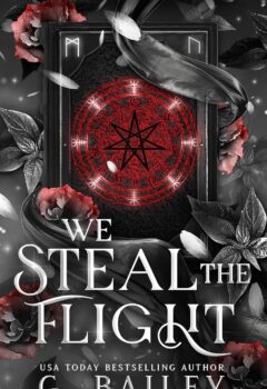 We Steal The Flight (The Bloodstone Academy Series #3)