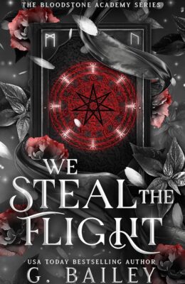 We Steal The Flight (The Bloodstone Academy Series #3)
