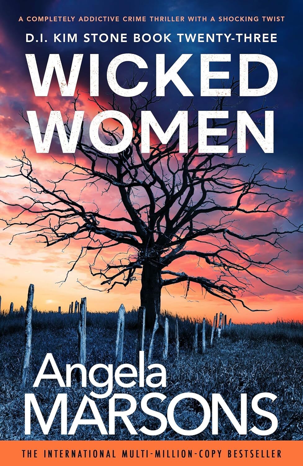 Wicked Women (Detective Kim Stone #23)