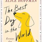 The Best Dog In The World