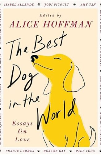 The Best Dog In The World