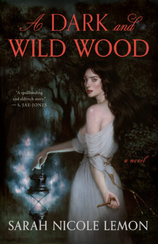 A Dark And Wild Wood