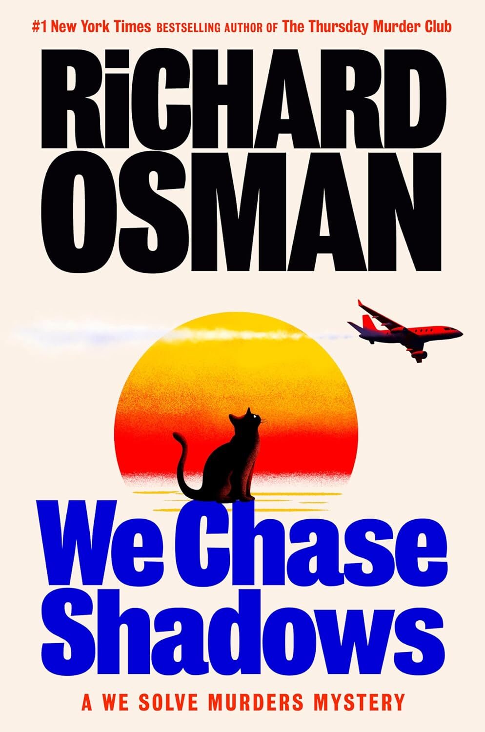 We Chase Shadows (We Solve Murders #2)