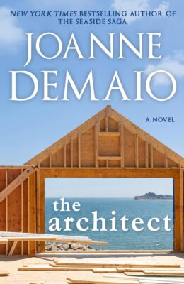 The Architect (The Seaside Saga #27)