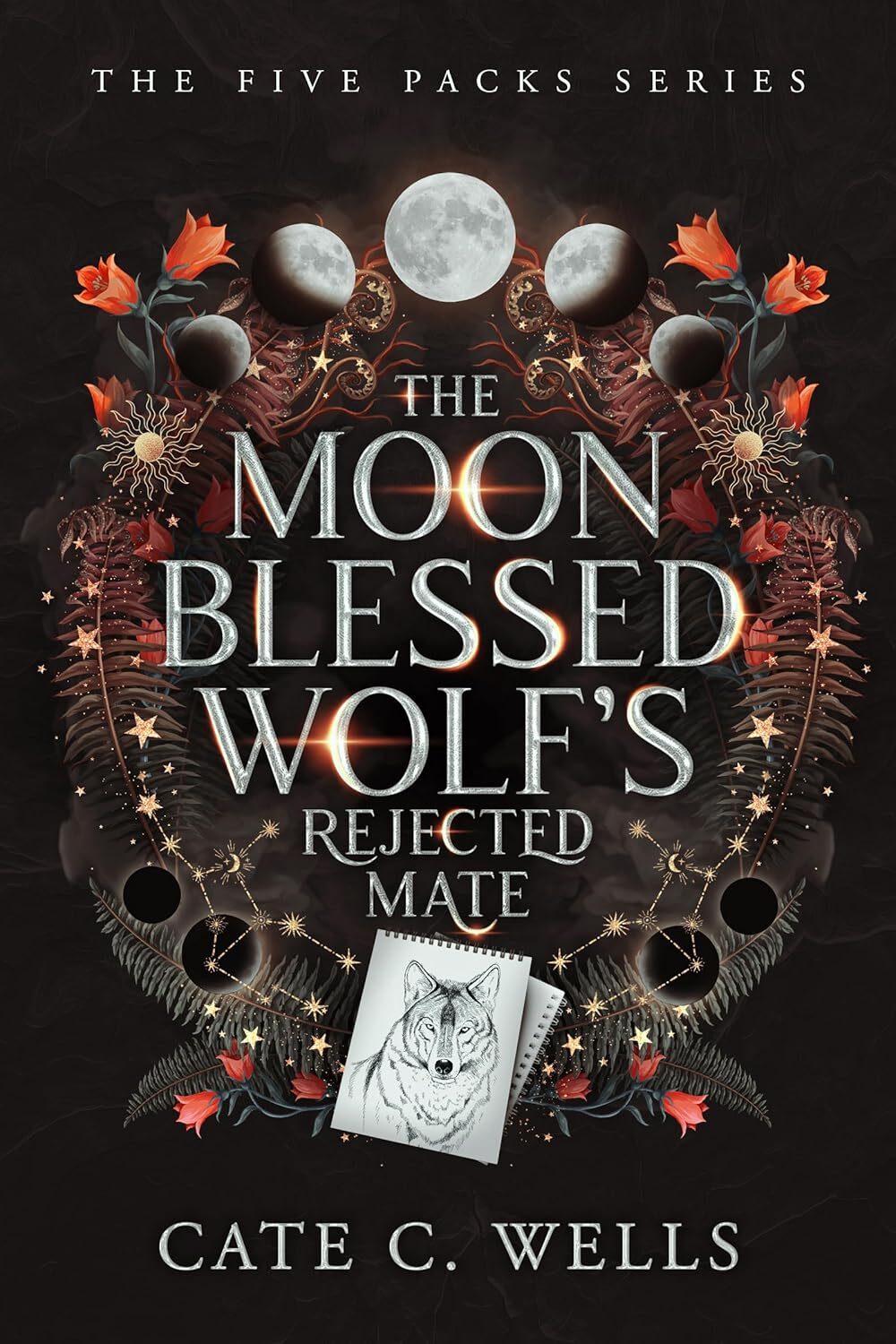 The Moon Blessed Wolf’s Rejected Mate (The Five Packs #7)