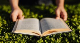 May 2026 Book Releases