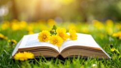 Spring 2026 Book Releases