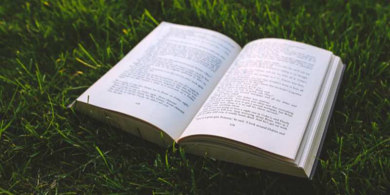 Summer book release report - trends to watch