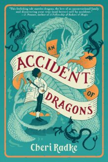 An Accident Of Dragons (Tales Of Summer #1)