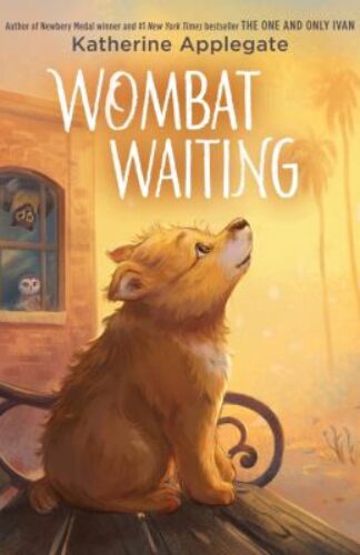 Wombat Waiting