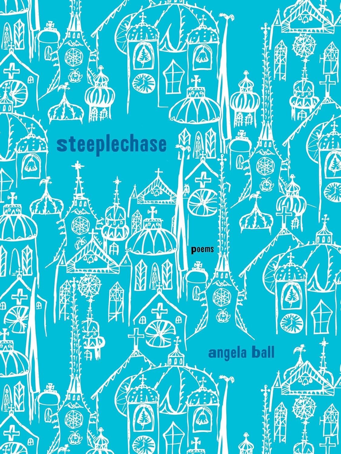 Steeplechase: Poems (Pitt Poetry Series)