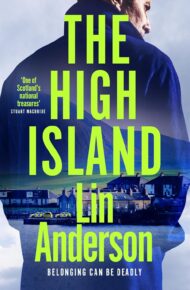The High Island (DI Erling Flett #1)