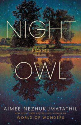 Night Owl: Poems