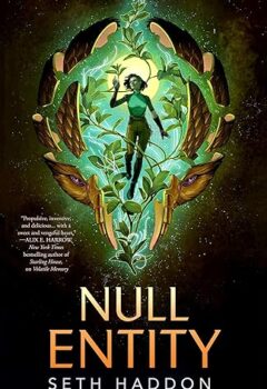 Null Entity (The Volatile Memory Duology #2)